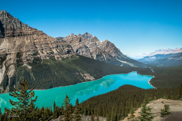 Peyto Lake