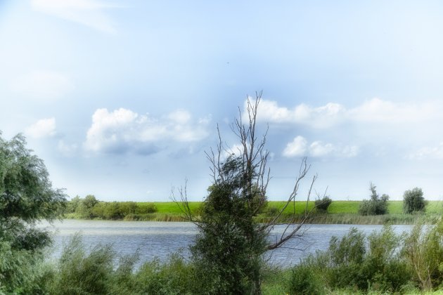 Oostvaarders plassen