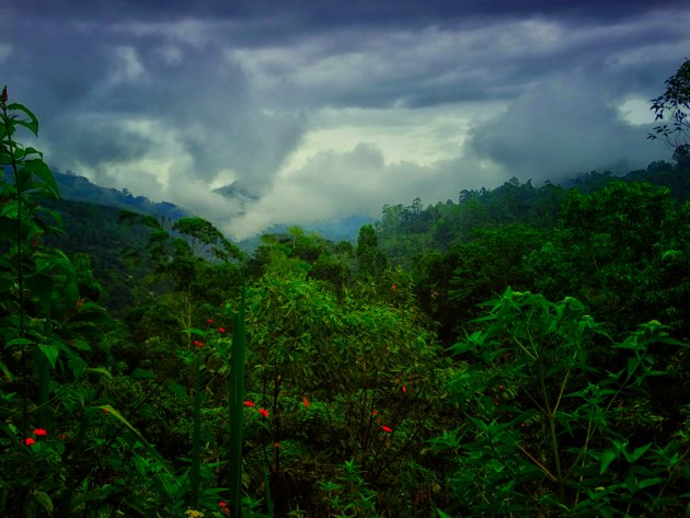 Sri Lanka in de regen