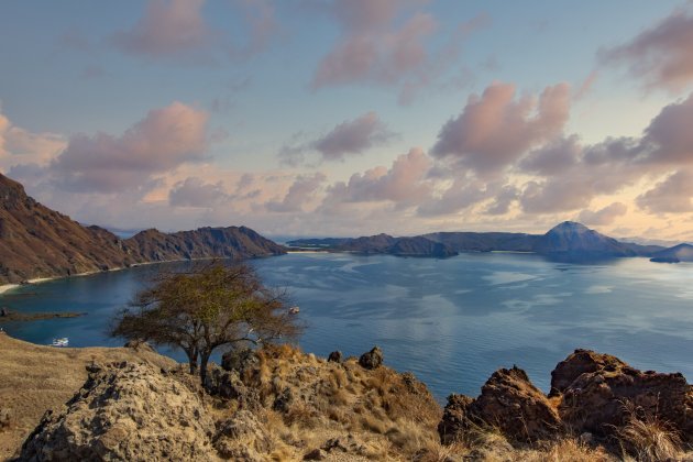 Padar Island II