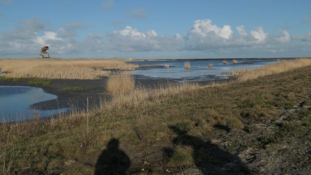 Pionieren op de Markerwadden