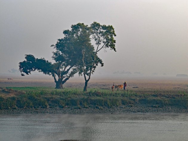 Landschap Birma vanaf de rivier tussen Sittwe en Mrauk U