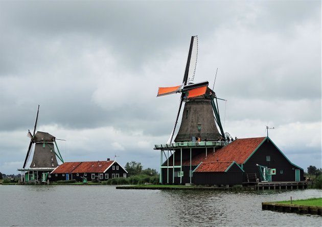 Molens bij bewolkt weer.