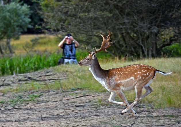 Wie fotografeert wie?