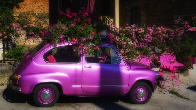 Zastava in pink