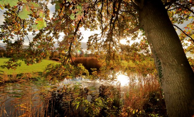 Herfstzonnetje