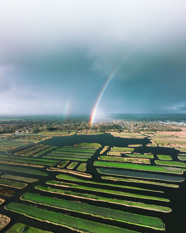 Regenboog inslag