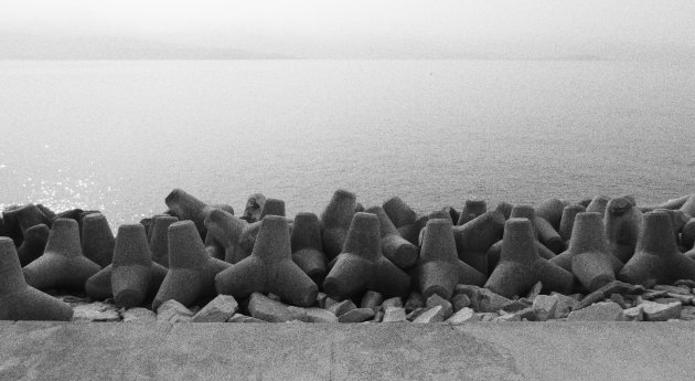 Tetrapods