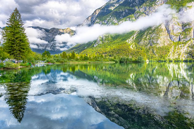 Bohinj meer in de vroege morgen