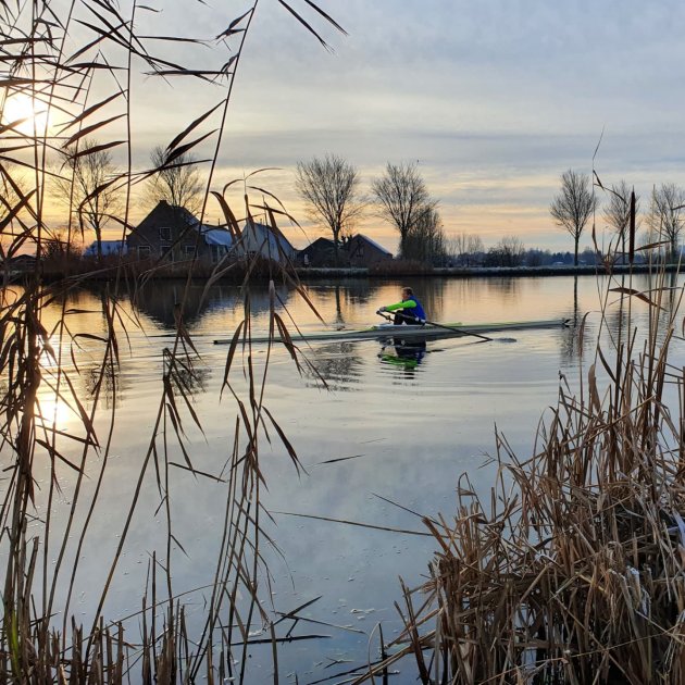 Roeier op de Amstel