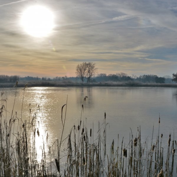 '1134063' door Janbaert