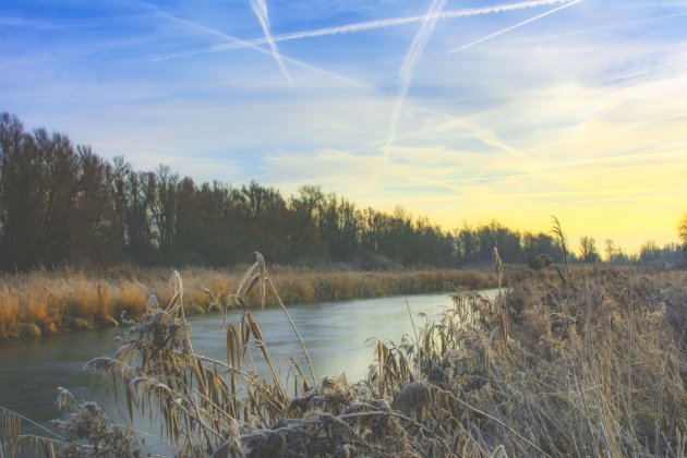 Oostvaardersplassen