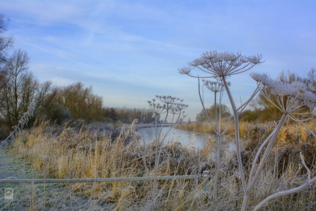 Oostvaardersplassen II