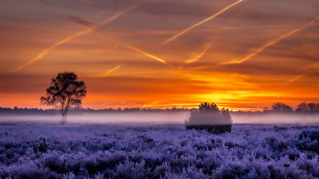 Mist Ullingse Bergen