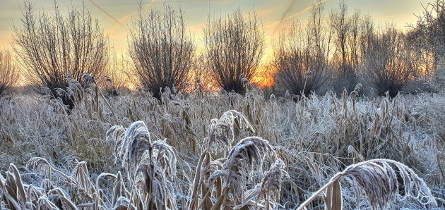 Winters Ocrieteiland