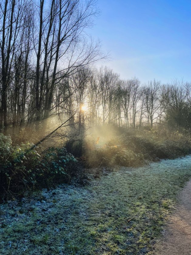 Mooi licht onderweg