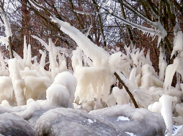 Kunstwerkje van de natuur