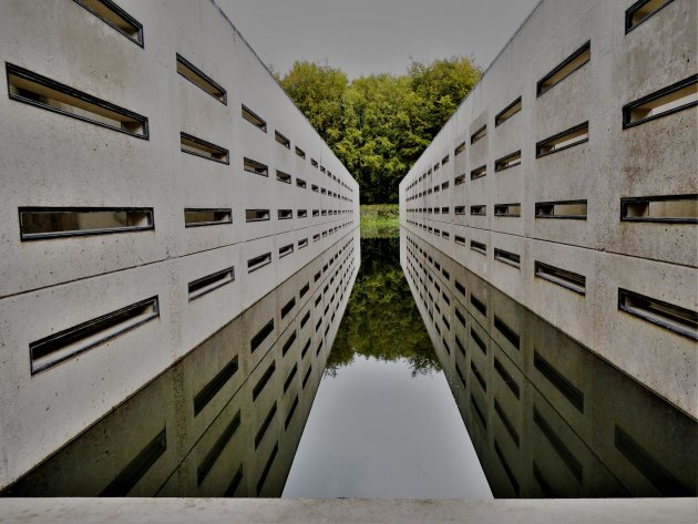 Waterloopbos met ruïnes van waterwerken