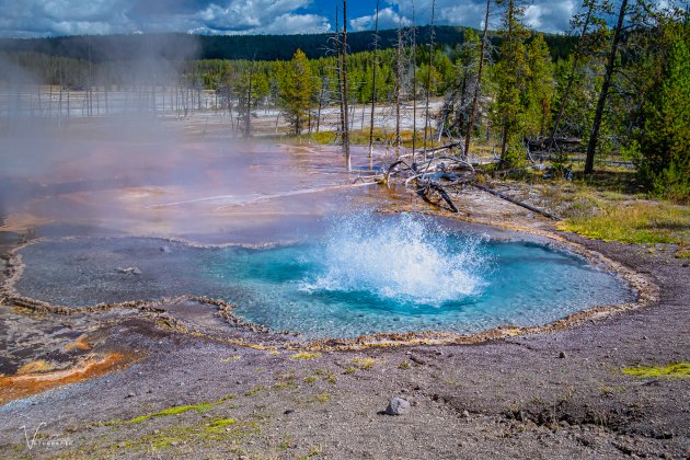 Yellowstone en zijn hot springs