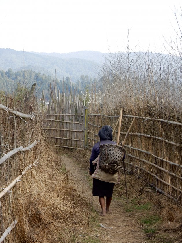 Ziro Valley