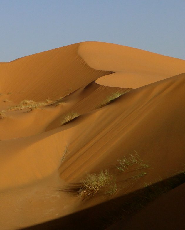 sporen in het zand