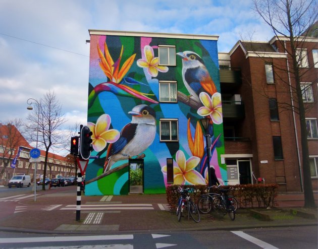 Klein stukje Indonesië in Amsterdam- Oost