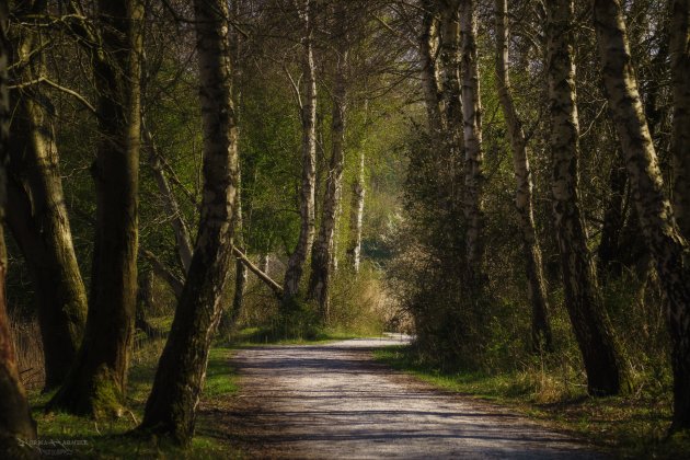 Natuurpark Lelystad