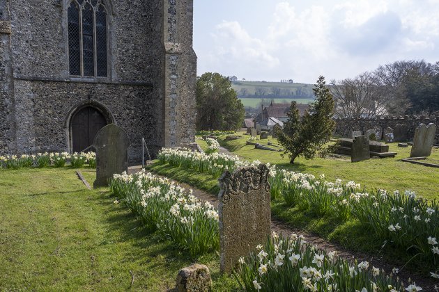 Elham churchyard