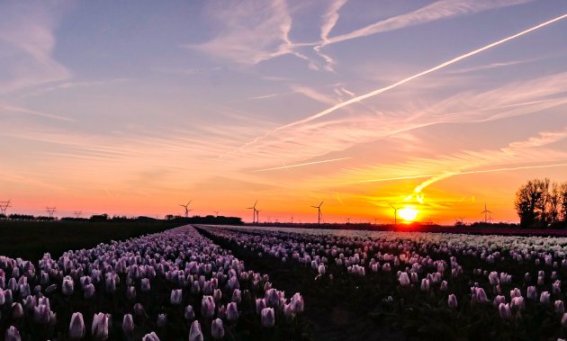 Kleurrijk Nederland