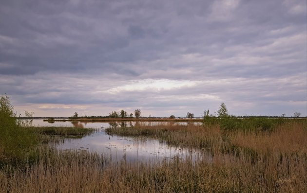 De Wieden op het eind van de dag