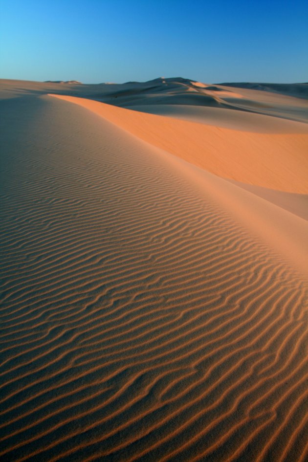 Zandduinen