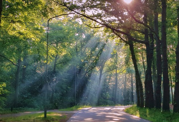 Zonneharp bij Landgoed Kernhem