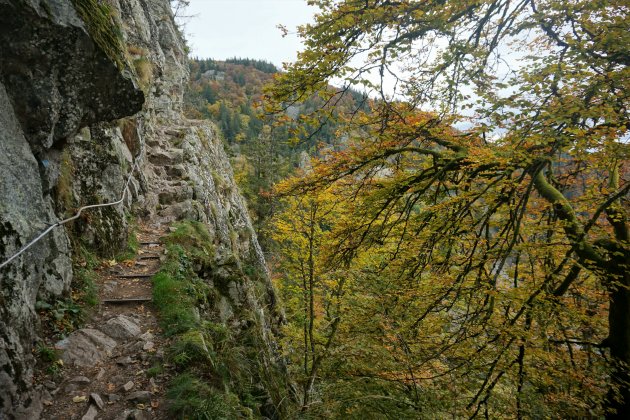 Focus op het sentier des roches