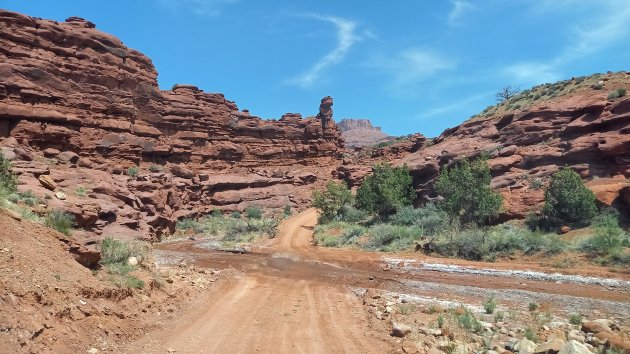 Onion Creek Road