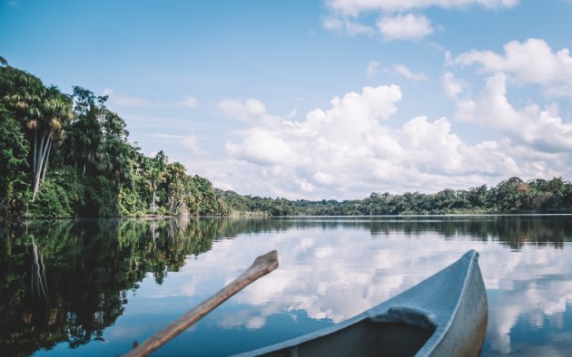 Tambopata National Reserve.