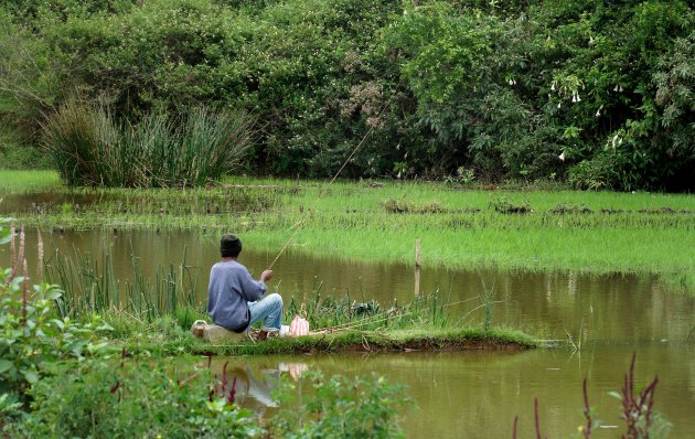 Mora Mora, een herinnering aan Madagaskar