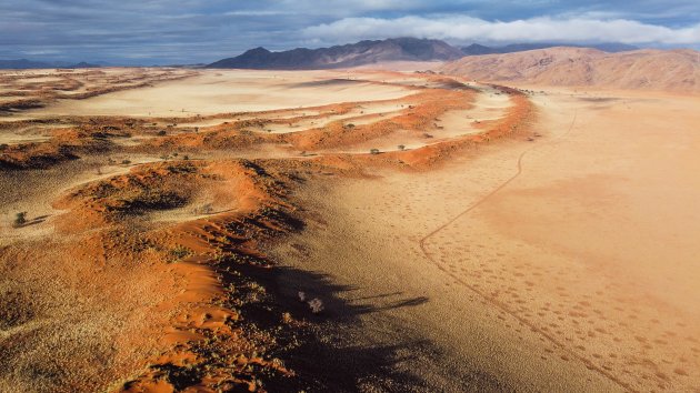 Fairy circles in a fairy landscape