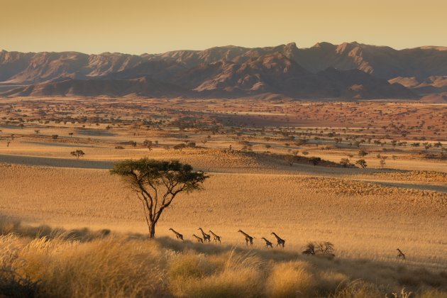 8 op een rij in NamibRand