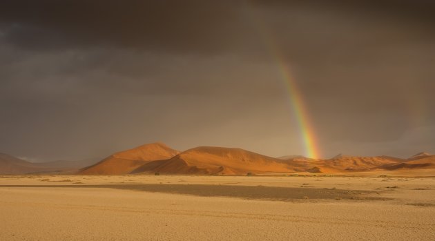 Op zoek naar de pot met goud