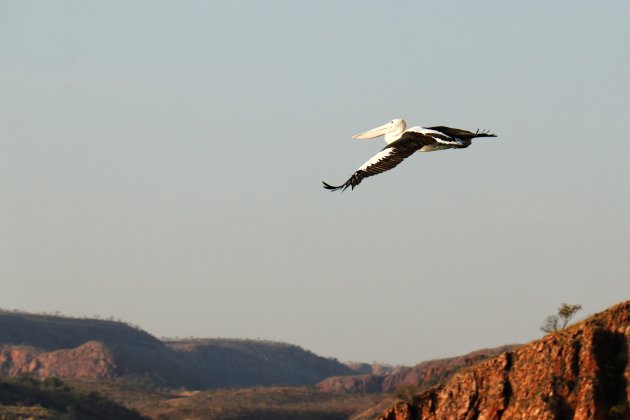 Vliegend boven lake Argyle