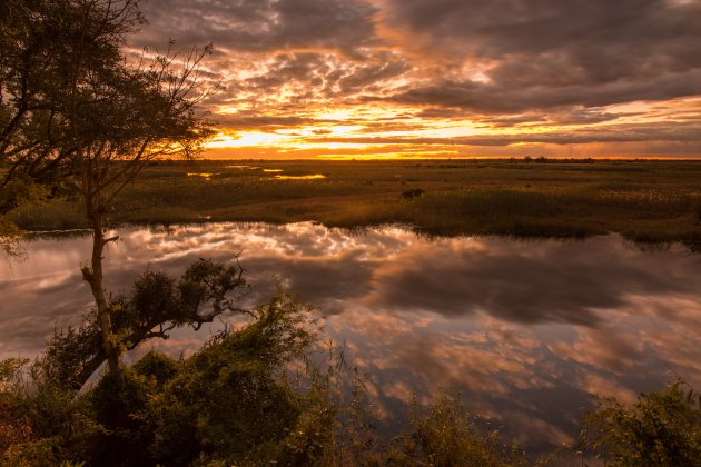 Kwando River