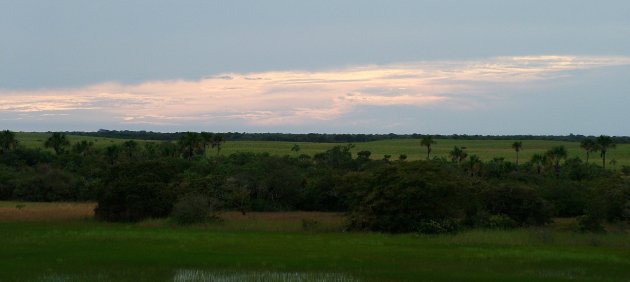 Avondrood in de Llanos