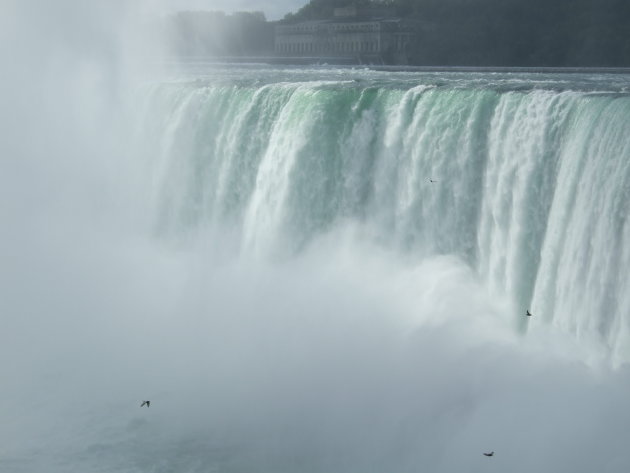 Niagara watervallen