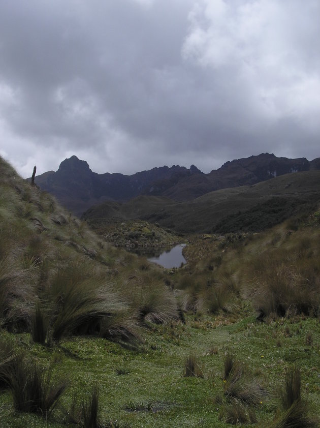 Parque Nacional El Cajas