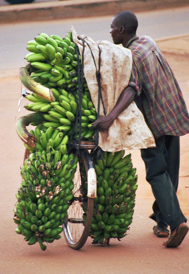 Bananentransport