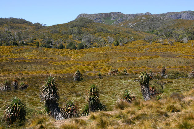 berglandschap