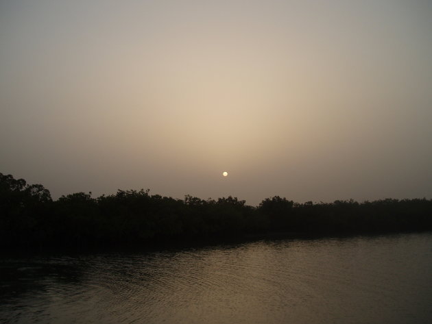 Zonsopgang in het mangrovebos