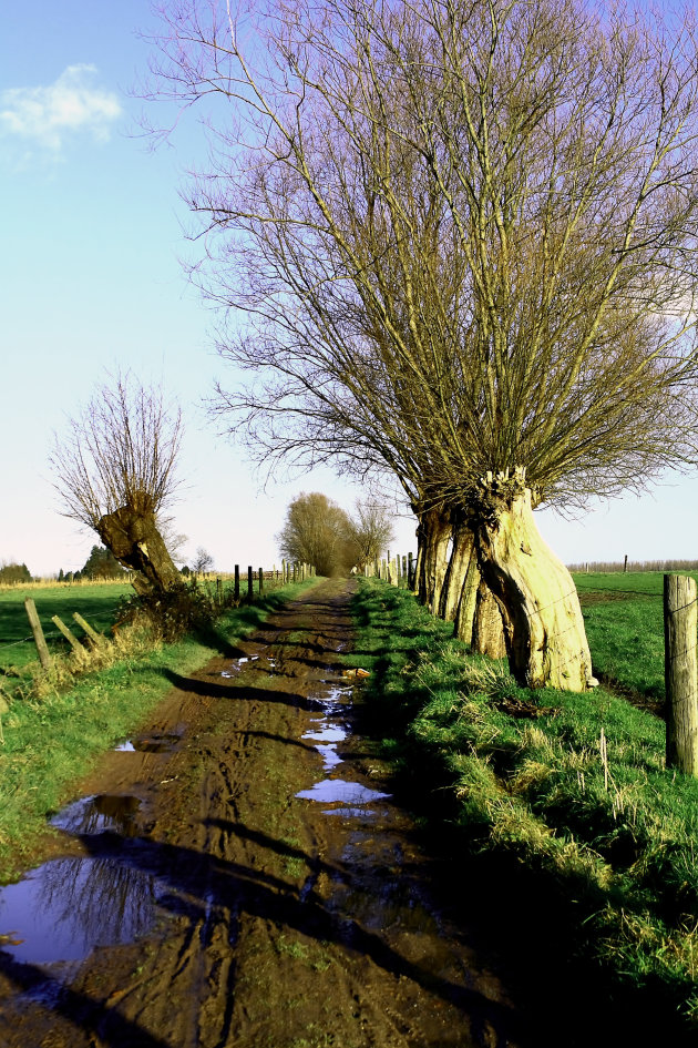 wandelweg