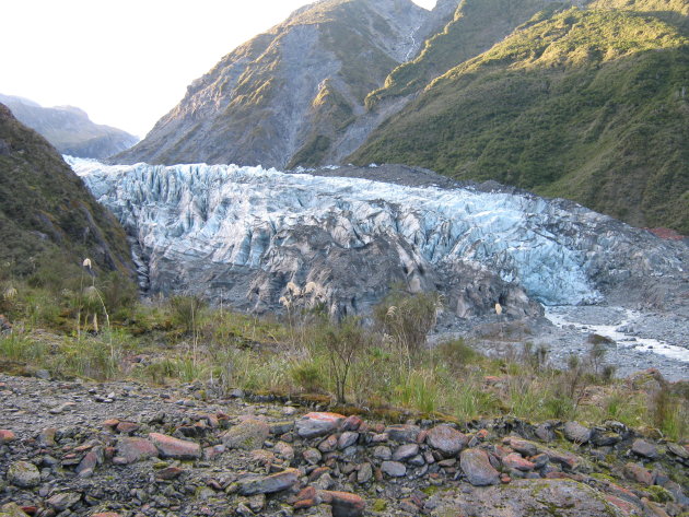 Fox Glacier