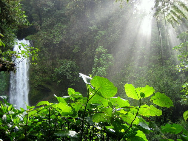 Waterval